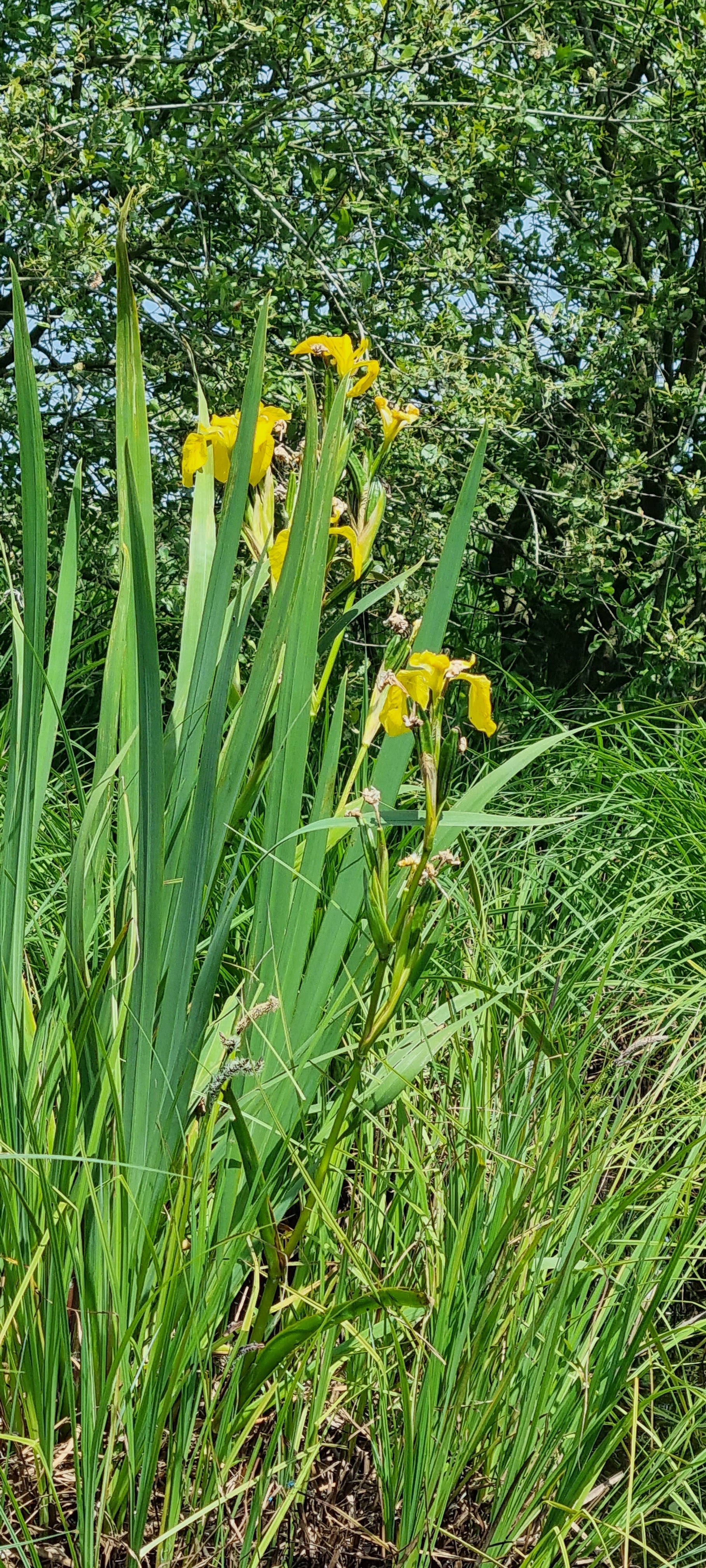Photo n° 6 de l'avis de sandrine.a fait le 20/05/2023 à 14:59