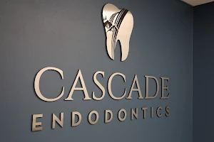 Cascade Endodontics: Dr. Shahin Etemadi and Dr. Stephanie Chen image
