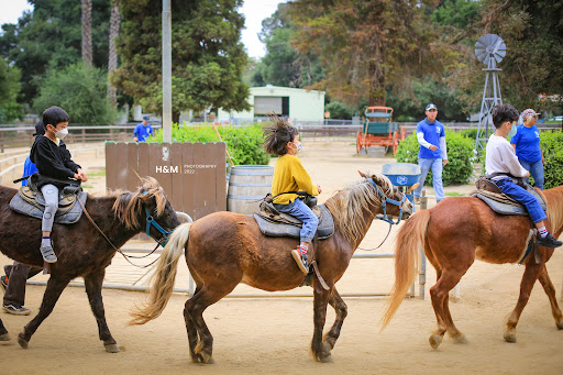 Pony ride service Pasadena