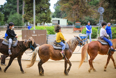 Griffith Park Pony Rides & Petting Zoo