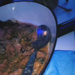 Photo n°2 de l'avis de Ludovica.a fait le 13/12/2022 à 10:55 sur le  La Trattoria del Marinaio à Galati Marina