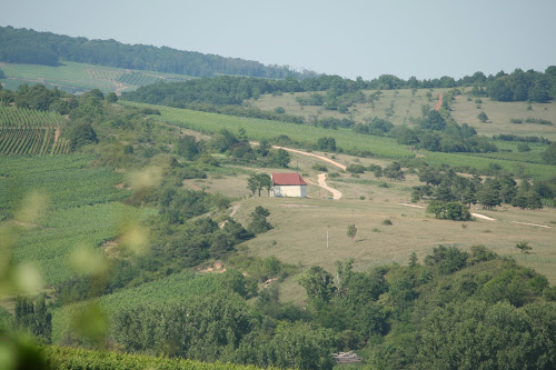 Domaine WELTY à Orschwihr