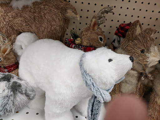 Fabric Store «Jo-Ann Fabrics and Crafts», reviews and photos, 4600 Durham-Chapel Hill Blvd #8, Durham, NC 27707, USA