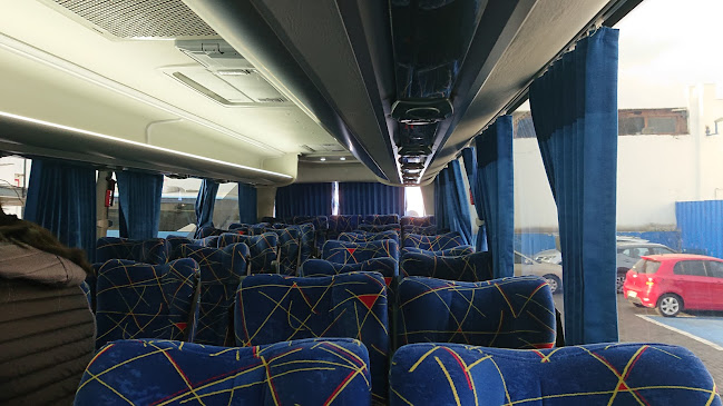 Buses Biaggini - Antofagasta