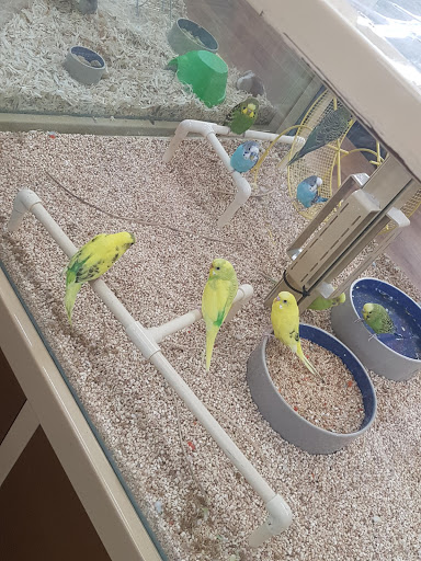 Pet Supply Store «Pet Supermarket», reviews and photos, 2111 N Federal Hwy, Hollywood, FL 33020, USA