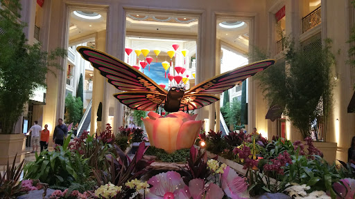 Shopping Mall «The Grand Canal Shoppes», reviews and photos, 3377 S Las Vegas Blvd Suite 2600, Las Vegas, NV 89109, USA