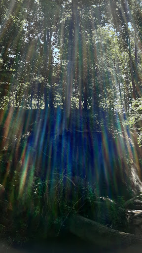 Nature Preserve «Big Brook Preserve», reviews and photos, 95 Hillsdale Rd, Colts Neck, NJ 07722, USA