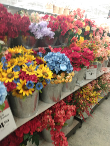 Craft Store «Michaels», reviews and photos, 4400 Fort Jackson Blvd #200, Columbia, SC 29209, USA