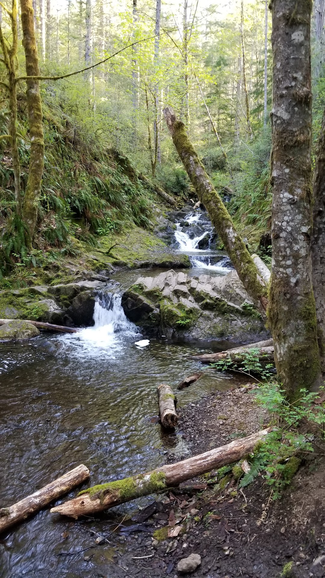 Gold Creek Trailhead, Green Mountain