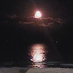 Photo n°3 de l'avis de Franco.e fait le 08/08/2023 à 15:54 sur le  Hotel Caraibi à Grottammare