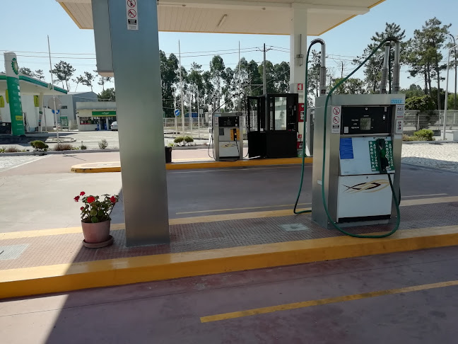 Avaliações doDuarte & Pedrosa- Combustíveis de Monte Redondo, Lda em Leiria - Posto de combustível