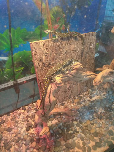 Pet Supply Store «D & D Pet Center», reviews and photos, 8813 Michigan Ave, Detroit, MI 48210, USA