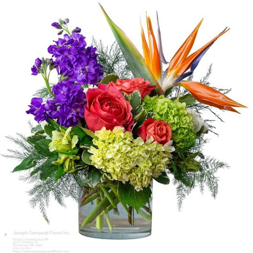 Florist «Joseph Genuardi Florist Inc», reviews and photos, 410 E Fornance St, Norristown, PA 19401, USA