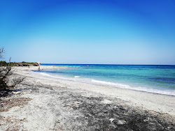 Photo de Cesine beach II zone sauvage