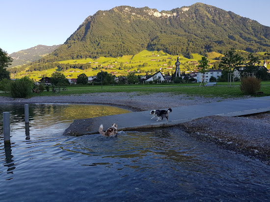 Trauerweide Beach