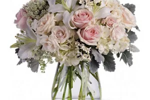 Ambrosia Florist & Gifts image