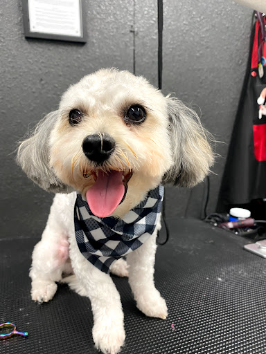 Pet Supply Store «Big Tex Feed & Pet Supply», reviews and photos, 7102 Cullen Blvd, Houston, TX 77021, USA