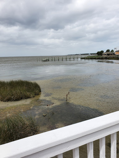 Pet Supply Store «Outer Barks - Water Front Shops», reviews and photos, 1240 Duck Rd, Duck, NC 27949, USA