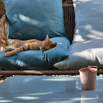 Photo n°10 de l'avis de Peter. fait le 25/10/2023 à 18:25 sur le  Masseria Brigantino à Pezze di Greco