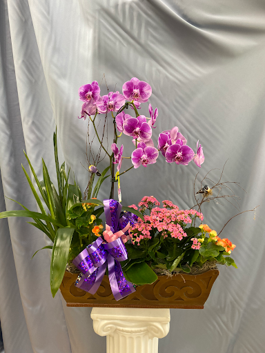 Florist «Morton Grove Florist», reviews and photos, 5741 Dempster St, Morton Grove, IL 60053, USA