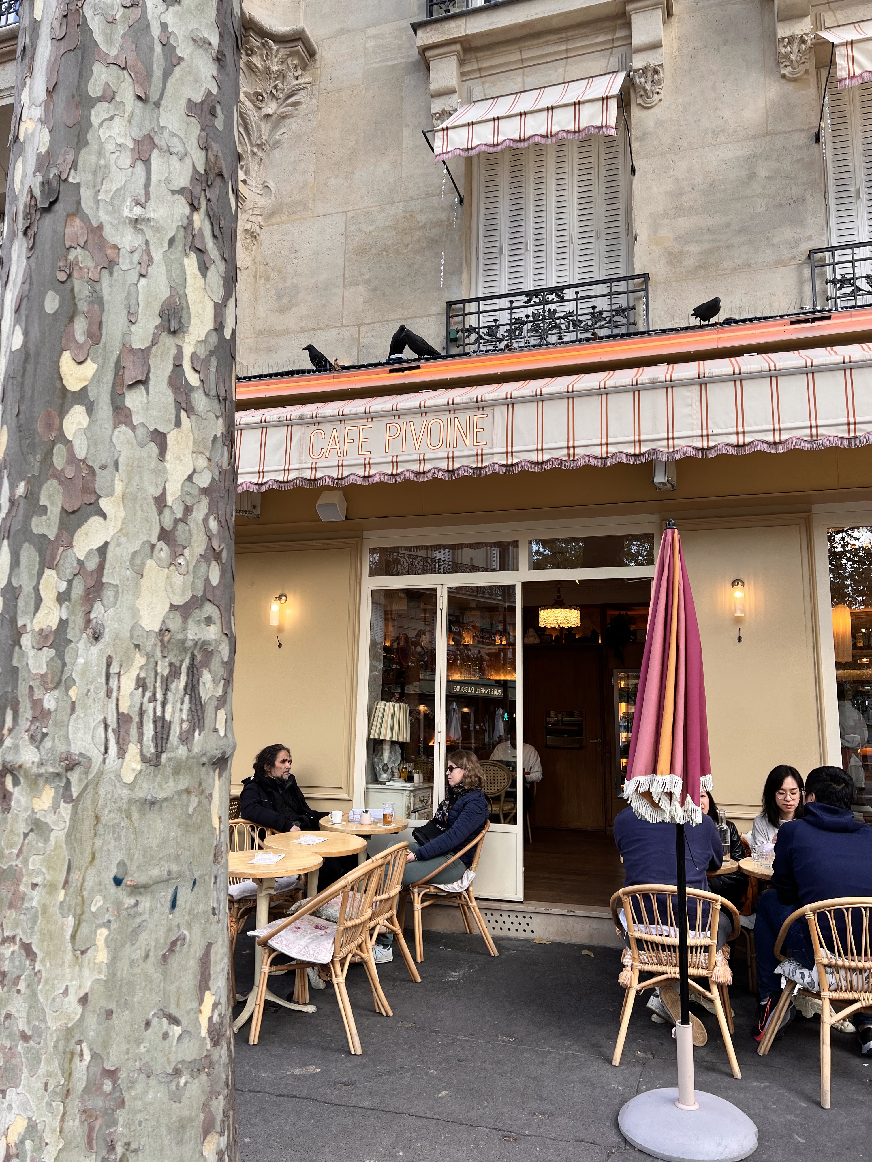 Photo n° 1 de l'avis de S.P fait le 22/10/2023 à 16:09