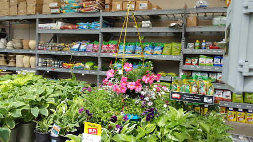 Home Improvement Store «The Home Depot», reviews and photos, 1413 N Armistead Ave, Hampton, VA 23666, USA