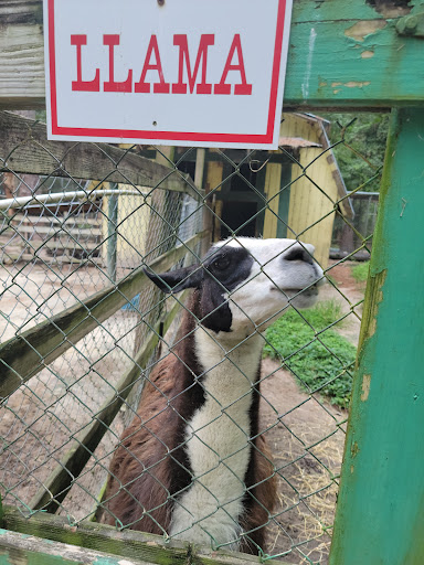 Zoo «Waccatee Zoological Farm», reviews and photos, 8500 Enterprise Rd, Myrtle Beach, SC 29588, USA