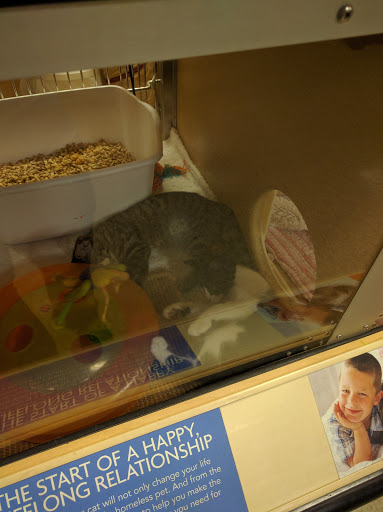 Pet Supply Store «PetSmart», reviews and photos, 1275 N Military Hwy, Norfolk, VA 23502, USA