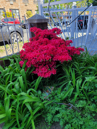 Car Wash «Sparkles Carwash & Quick Lube», reviews and photos, 3107 Farrington St, Flushing, NY 11354, USA