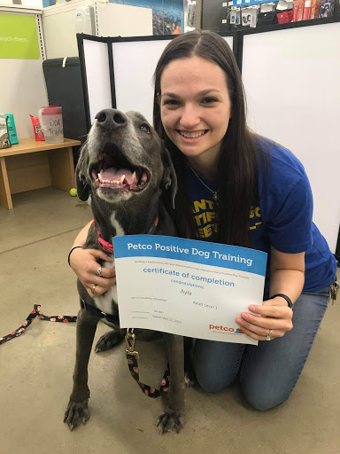 Pet Supply Store «Petco Animal Supplies», reviews and photos, 859 Kings Creek Dr, Tupelo, MS 38804, USA