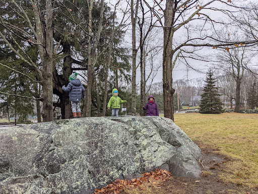 Non-Profit Organization «Museum of American Bird Art at Mass Audubon», reviews and photos, 963 Washington St, Canton, MA 02021, USA