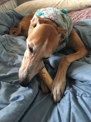 Pet Supply Store «Natural Pet Center», reviews and photos, 3037 13th Ave S, Fargo, ND 58103, USA