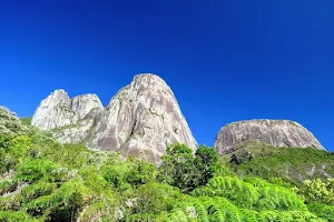 PETP - Parque Estadual dos Três Picos - Núcleo Jequitibá image