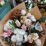 Photo n° 1 de l'avis de beatrice.e fait le 11/11/2023 à 11:11 pour Ancolie & Camélia à Saint-Cyr-au-Mont-d'Or