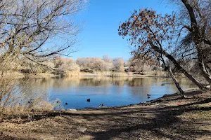 Steed Pond image