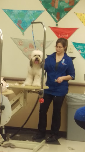 Pet Supply Store «PetSmart», reviews and photos, 400 Mill Creek Dr, Secaucus, NJ 07094, USA