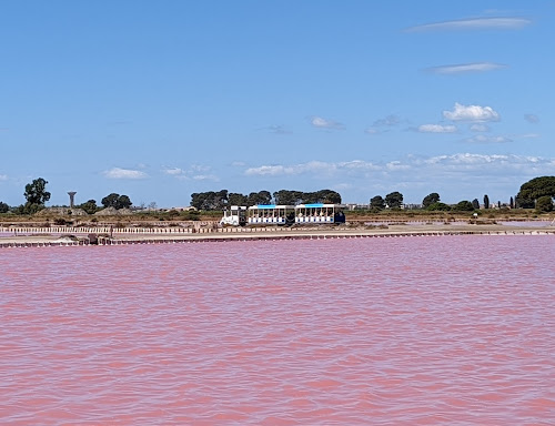 Le petit train des salins d'Aigues Mortes à Aigues-Mortes