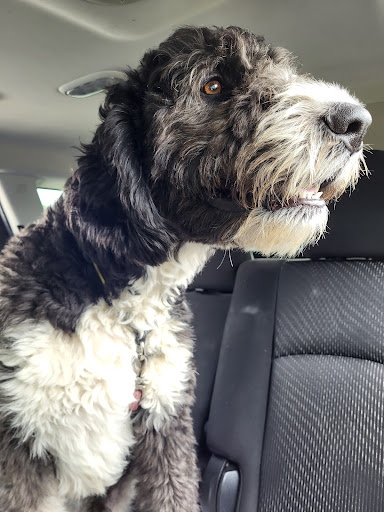 Pet Supply Store «Petco Animal Supplies», reviews and photos, 7225 N Keystone Ave i, Indianapolis, IN 46240, USA