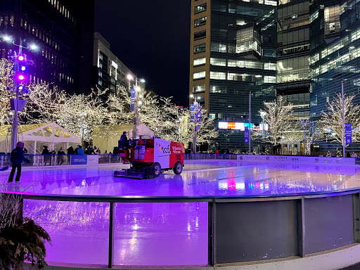 Detroit Ice Rink image 7