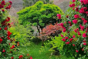 Grădina Japoneză image
