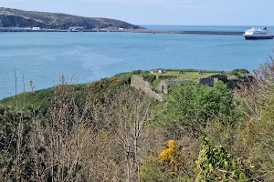 Fishguard Fort image