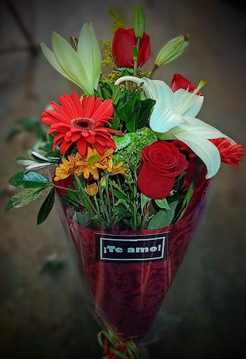 El Tamarindo – Jiutepec