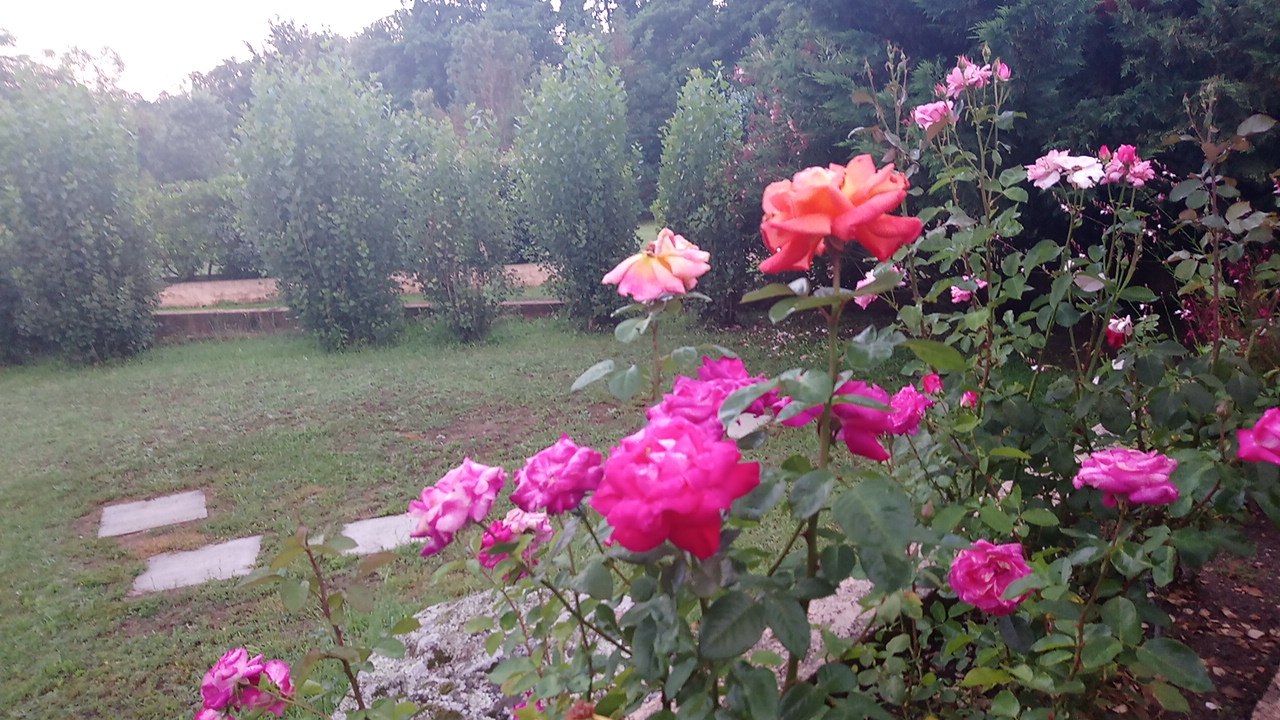 Photo n° 2 de l'avis de James.o fait le 25/06/2018 à 18:46