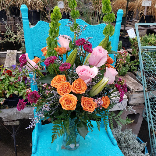 Landscaper «Wilson Landscape Nursery and Florist», reviews and photos, 14650 Bandera Rd, Helotes, TX 78023, USA