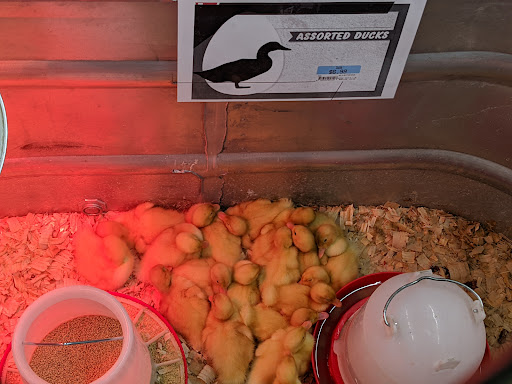 Home Improvement Store «Tractor Supply Co.», reviews and photos, 79 Red Hill Rd, Newport, PA 17074, USA