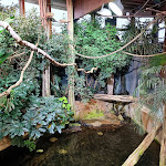 Photo n°16 de l'avis de VarfoLomej. fait le 02/01/2024 à 18:26 sur le  Aquarium Wilhelmshaven incl. Prehistoric Sea Museum à Wilhelmshaven