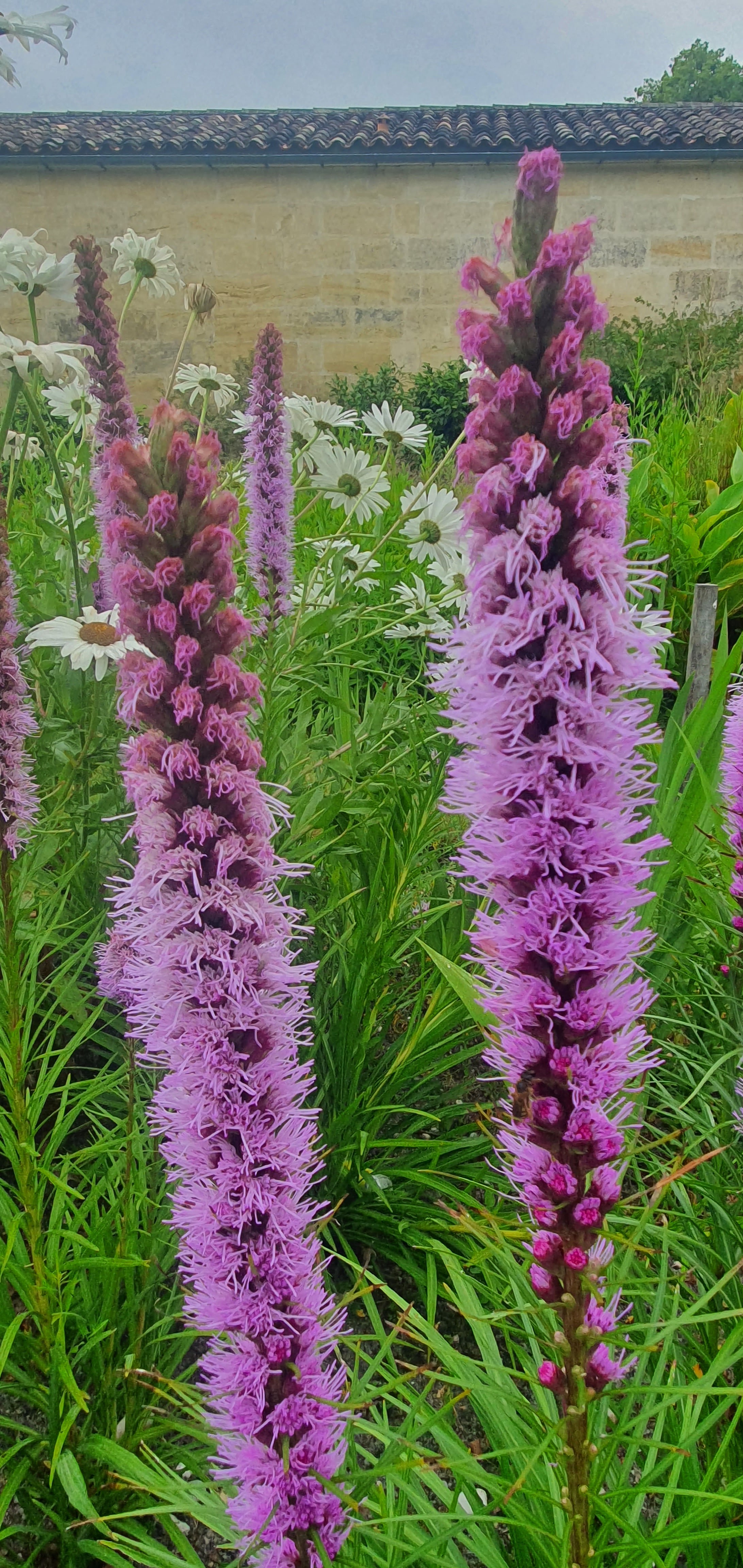 Photo n° 9 de l'avis de Roland.a fait le 17/07/2020 à 19:13
