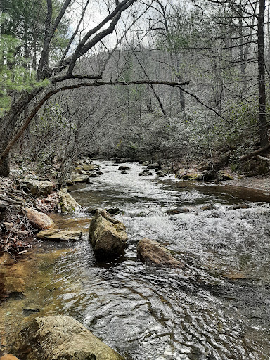 Madison Run Road Trailhead