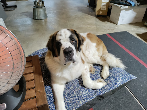 Winchester Road Animal Hospital image