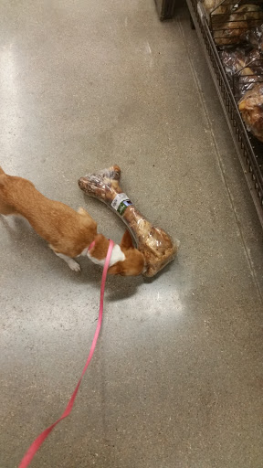 Pet Supply Store «Petco Animal Supplies», reviews and photos, 3430 W State St, Grand Island, NE 68803, USA